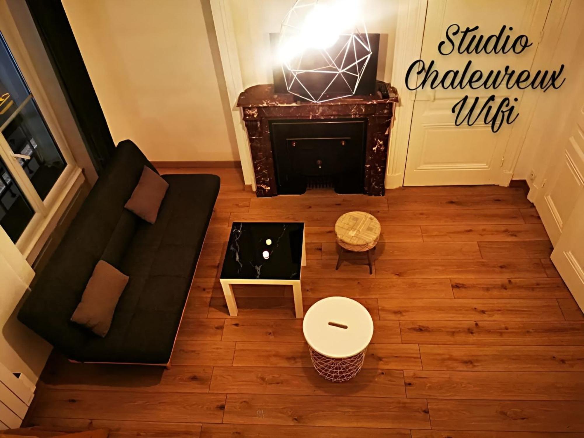 La Croisade-Studio-Hyper Centre Tassin- Suite 1 Ngoại thất bức ảnh